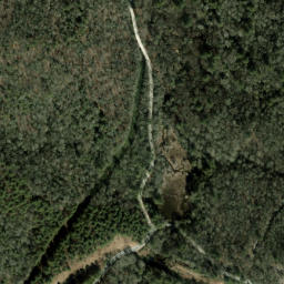 Satellite imagery of Chestnut Ridge, US