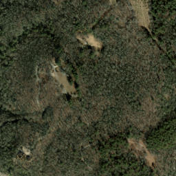 Satellite imagery of Chestnut Ridge, US