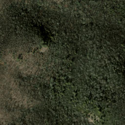 Satellite imagery of Goldspring Ridge, US
