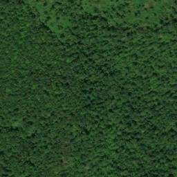 Satellite imagery of Speegle Point, US