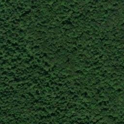 Satellite imagery of Ellidge Point, US