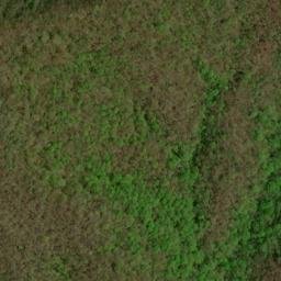 Satellite imagery of Beal Ridge, US