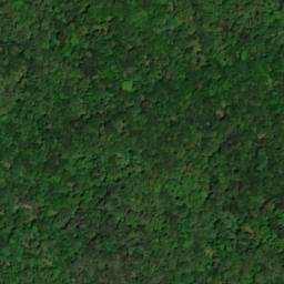 Satellite imagery of Chestnut Ridge, US