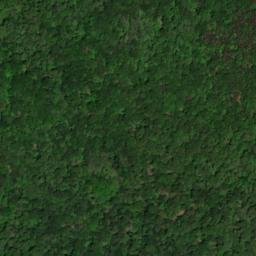 Satellite imagery of Chestnut Ridge, US