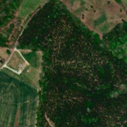 Satellite imagery of Bucksnort Ridge, US