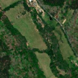 Satellite imagery of Bucksnort Ridge, US