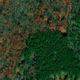 Satellite imagery of Tin Top, US