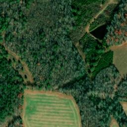 Satellite imagery of Tin Top, US