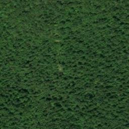 Satellite imagery of Speegle Point, US