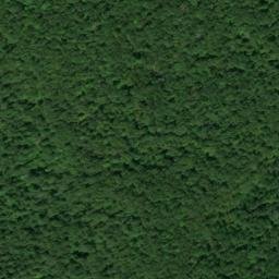 Satellite imagery of Speegle Point, US