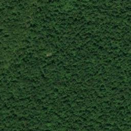 Satellite imagery of Speegle Point, US