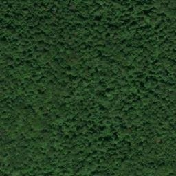 Satellite imagery of Ellidge Point, US