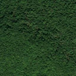 Satellite imagery of Stinnette Point, US