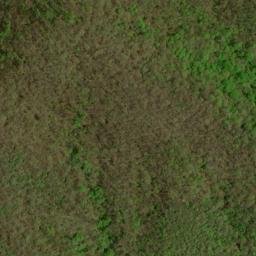 Satellite imagery of Beal Ridge, US