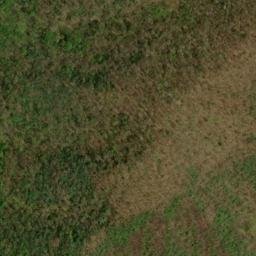 Satellite imagery of Sassafras Ridge, US