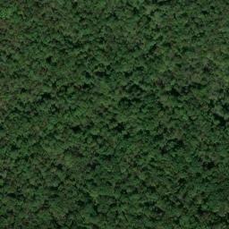 Satellite imagery of Shiloh Indian Mounds Site, US