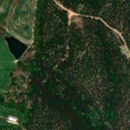 Satellite imagery of Bucksnort Ridge, US