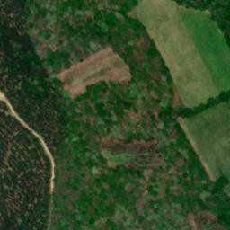 Satellite imagery of Bucksnort Ridge, US