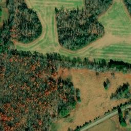 Satellite imagery of Tin Top, US