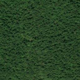Satellite imagery of Speegle Point, US
