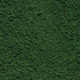 Satellite imagery of Speegle Point, US