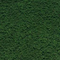 Satellite imagery of Speegle Point, US