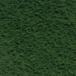 Satellite imagery of Ellidge Point, US