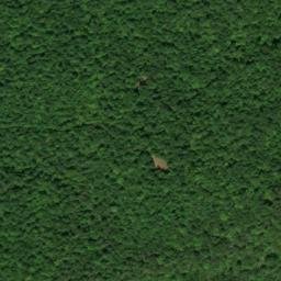 Satellite imagery of Grassy Point, US