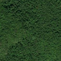 Satellite imagery of Grassy Point, US