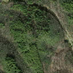 Satellite imagery of Benny Ridge, US