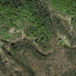 Satellite imagery of Benny Ridge, US