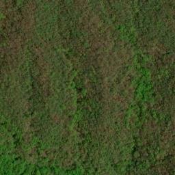 Satellite imagery of Brushy Ridge, US