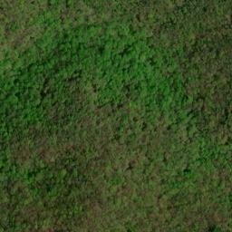 Satellite imagery of Beal Ridge, US