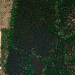 Satellite imagery of Bucksnort Ridge, US