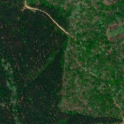 Satellite imagery of Bucksnort Ridge, US