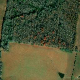 Satellite imagery of Tin Top, US