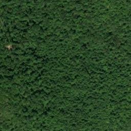 Satellite imagery of Grassy Point, US