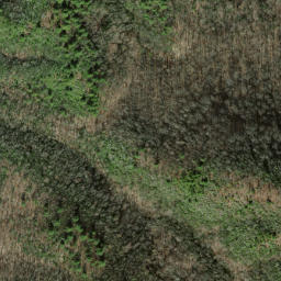 Satellite imagery of Benny Ridge, US