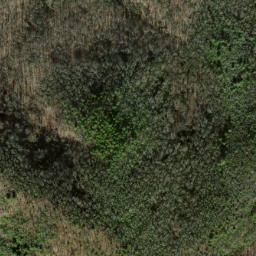 Satellite imagery of Benny Ridge, US