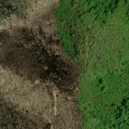 Satellite imagery of Buckhorn Ridge, US