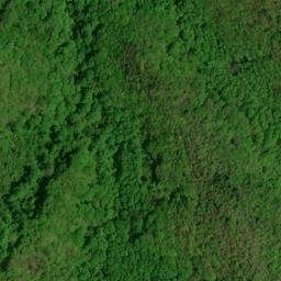 Satellite imagery of Buckhorn Ridge, US