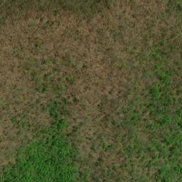 Satellite imagery of Fire Gap Ridge, US