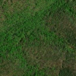 Satellite imagery of Fire Gap Ridge, US