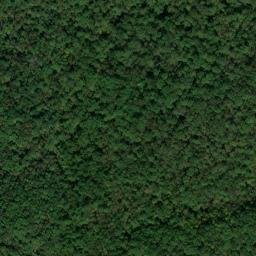 Satellite imagery of Shiloh Indian Mounds Site, US