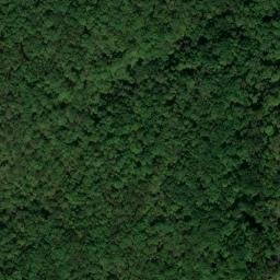 Satellite imagery of Shiloh Indian Mounds Site, US