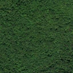 Satellite imagery of Grassy Point, US