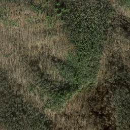 Satellite imagery of Benny Ridge, US