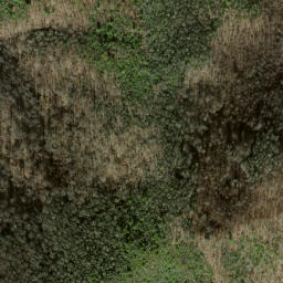 Satellite imagery of Benny Ridge, US