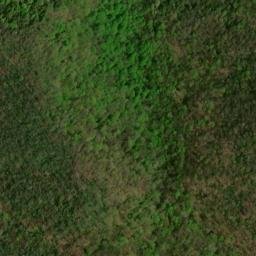 Satellite imagery of Tusquitee Mountains, US