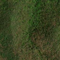 Satellite imagery of Tusquitee Mountains, US